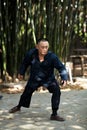 Taiji Quan Royalty Free Stock Photo