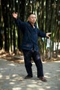 Taiji Quan Royalty Free Stock Photo