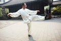 Taiji Quan