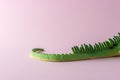 Tail of green lizard toy on pastel pink background. Minimal art concept Royalty Free Stock Photo