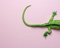 Tail of green lizard toy on pastel pink background. Minimal art concept Royalty Free Stock Photo