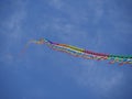 Tail Kite