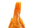 Tail of smoked fish perch Royalty Free Stock Photo