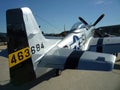 Tail View of the P51 D Mustang Royalty Free Stock Photo