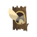 Tail of wolf sticking out of hollow tree, hollowed out old tree and cute animal cartoon character inside vector