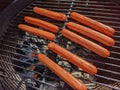 A bunch of hot dogs on a charcoal grill Royalty Free Stock Photo