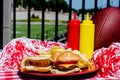 Tailgating Party Royalty Free Stock Photo