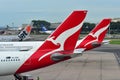 Tails of Jetstar International, Qantas and ANA Cargo aircraft at Changi Airport