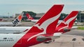 Tails of Jetstar International, Qantas and Turkish Airlines aircraft at Changi Airport