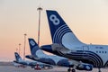 Tails of passenger jet aircrafts Airbus A319 of Aurora Airlines on airfield. Aviation and transportation