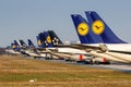 Tails of stored Lufthansa airplanes during Coronavirus Corona Virus COVID-19 Frankfurt airport