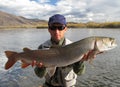 Taimen fishing Mongolia Royalty Free Stock Photo