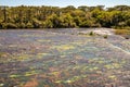 Tainhas River with rocks and vegetation around