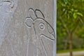 Taino Bird Petroglyphs 1