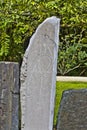 Taino Bird Petroglyphs 2