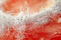 Tainted tomato with fungus spores unusual wallpaper