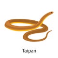 Taipan snake color flat icon