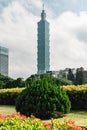 Taipei 101 building with tree bushes in foreground with bright blue sky and cloud in Taipei, Taiwan