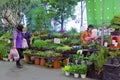 Taipei flower market