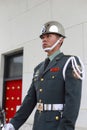 Taipei honor guard standing guard
