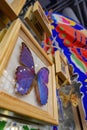 Exhibition in the Pavilion of New Fashion during Taipei International Flora Exposition