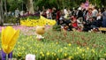 2019 Shilin official residence tulip exhibition, Taipei, Taiwan