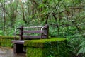 Taipei, Yangmingshan, forest, trails, rest areas, public chairs, forest trails