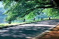 Taiping Lake Garden