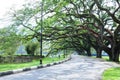 Taiping Lake Garden, Malaysia Royalty Free Stock Photo