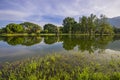 Taiping Lake Garden, Taiping, Malaysia Royalty Free Stock Photo