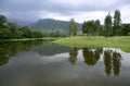 Taiping lake gardens Royalty Free Stock Photo