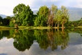 Taiping Lake Reflection