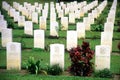 The Taiping War Cemetery Royalty Free Stock Photo