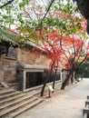 Taiqinggong or Temple of Supreme Purity on mountain Lao