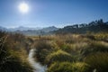 Tairua River, Coromandel Royalty Free Stock Photo