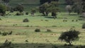 Taita Hills wildlife sanctuary , Kenya Royalty Free Stock Photo