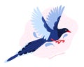 Taiwan azure magpie. Animals Of Taiwan. Urocissa caerulea. Cute Blue bird a flying in the sky. Exotic bird of Asia. Hand drawn