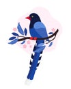 Taiwan azure magpie. Animals Of Taiwan. Urocissa caerulea. Cute Blue bird sits on a branch with pink tropical flowers. Exotic bird