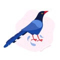 The Taiwan blue magpie. Animals of Taiwan. Urocissa caerulea. Cute blue bird in hand drawn vector. Vector flat illustration in