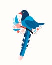 Taiwan blue magpie. Symbol of Taiwan Urocissa caerulea. Exotic birds of Taiwan, China and of Asia. Blue cartoon bird and Royalty Free Stock Photo