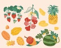 Taiwan doodle fruit collection