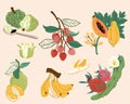 Taiwan doodle fruit collection