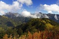 Taiwan Famous Landscape Hehuan Mountain Royalty Free Stock Photo