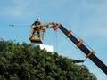 Taiwan, Kaohsiung - September 1, 2019: Workers use cranes to remove excess branches from the top of the tree.