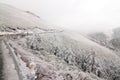 In Taiwan Nantou Hehuan Mountain Snow Royalty Free Stock Photo