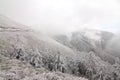 In Taiwan Nantou Hehuan Mountain Snow