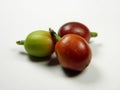 Taiwan native variety coffee bean fruit, closeup on white background