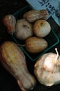 Taiwan pumpkin from a Taiwanese street vendor, agriculture, Smallholding, smallholder