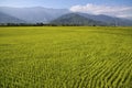 Taiwan rural scenery Royalty Free Stock Photo