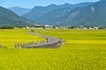 Taiwan rural scenery Royalty Free Stock Photo